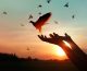 Female hands praying and free the birds to nature on sunset background, hope concept